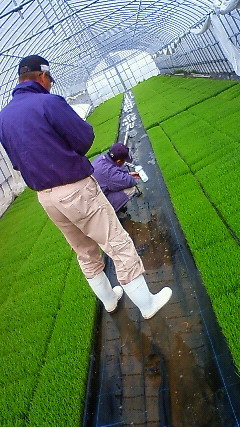 201304101333000.jpg