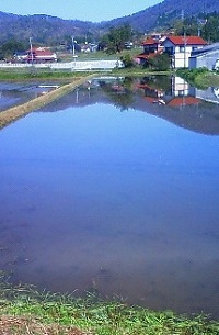 201304250836000.jpg