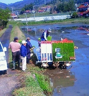 201304250837001.jpg