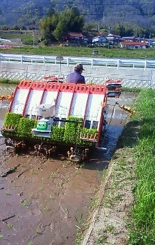 201304251553000.jpg