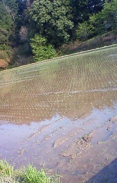 201304251609000.jpg