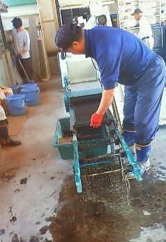201305140902001.jpg