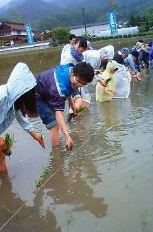 201306021048000.jpg