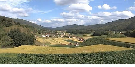 ファーム・おだ