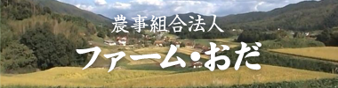ファームおだ